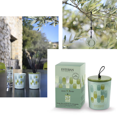 Under the Olive Tree: Journey to the Heart of Provence