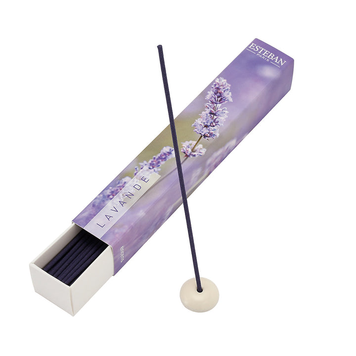 「PÂTISSIER tradition et innovation」 Orientations | A pair of Qianlong cloisonné enamel incense
